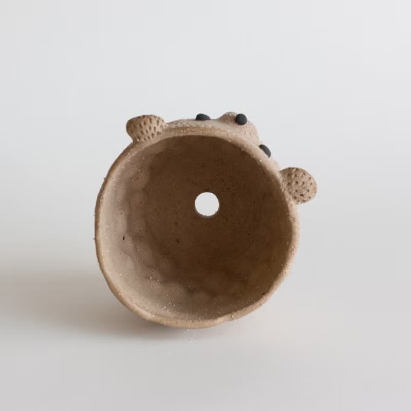 Bear plant pot