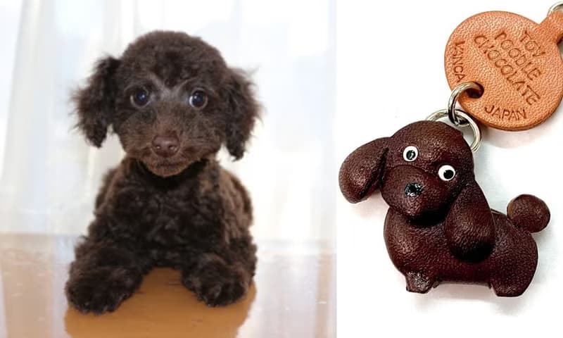 トイプードル  チョコレートブラウン　犬　本革キーホルダー　リードチャーム 　手作り　日本製　VANCA