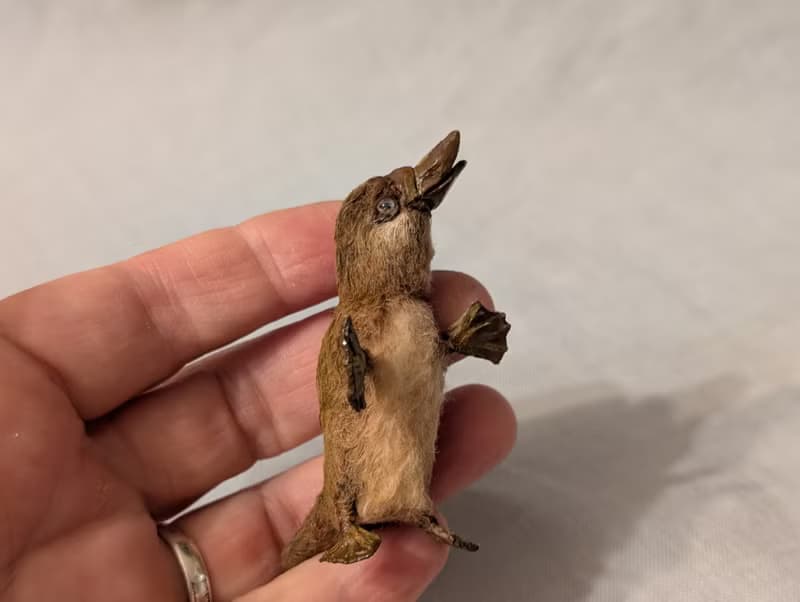 Baby Platypus - crocheted miniature - 5.5 cm.
