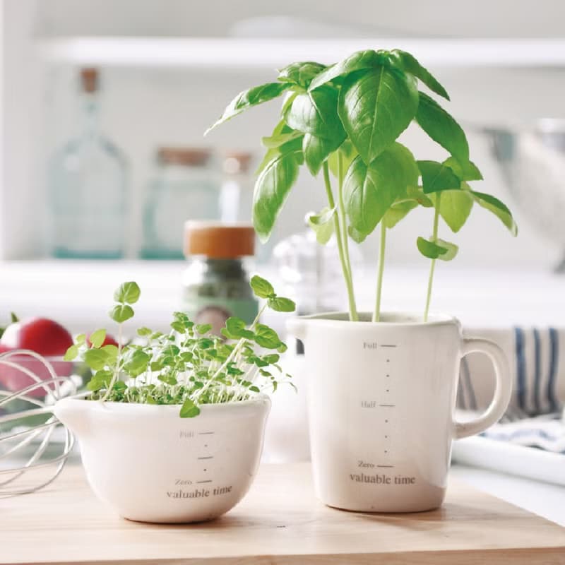 KITCHEN FARM 廚房幫手植栽盆器 / 量杯料理碗 (兩款)