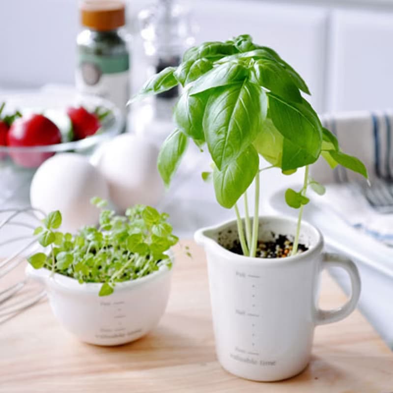KITCHEN FARM 廚房幫手植栽盆器 / 量杯料理碗 (兩款)