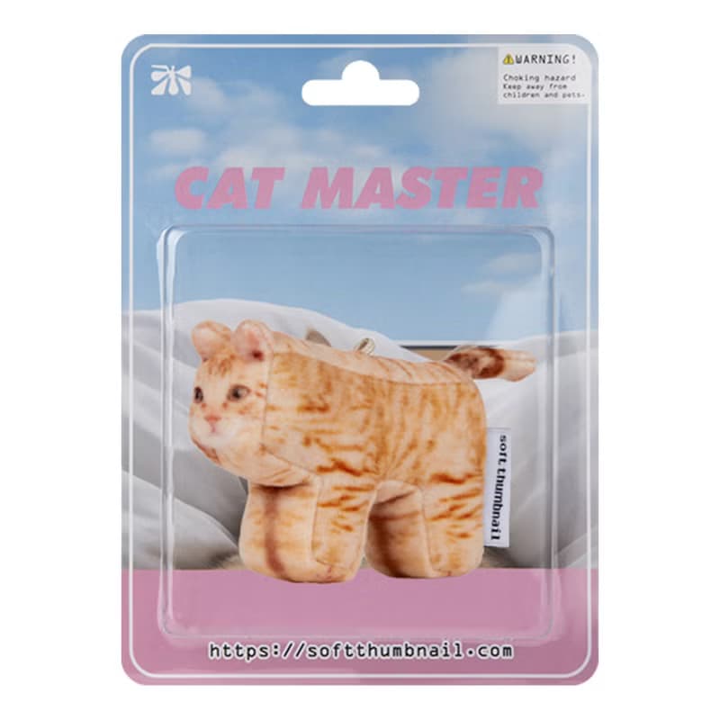 Cheese, Domestic Shorthair