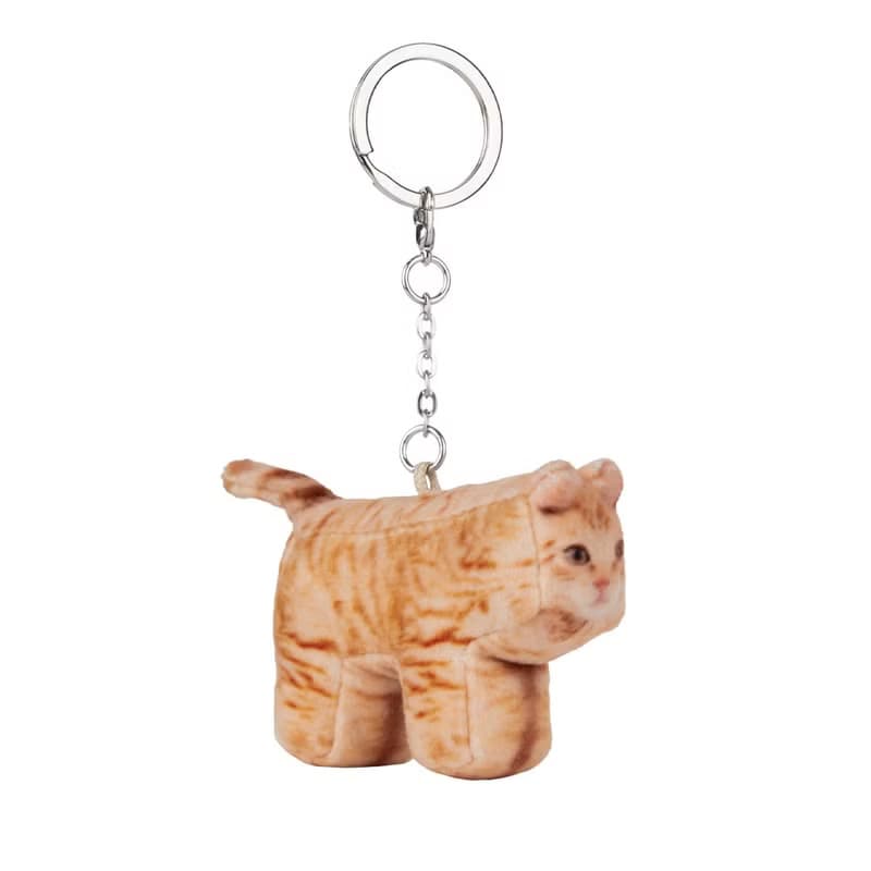 Cheese, Domestic Shorthair
