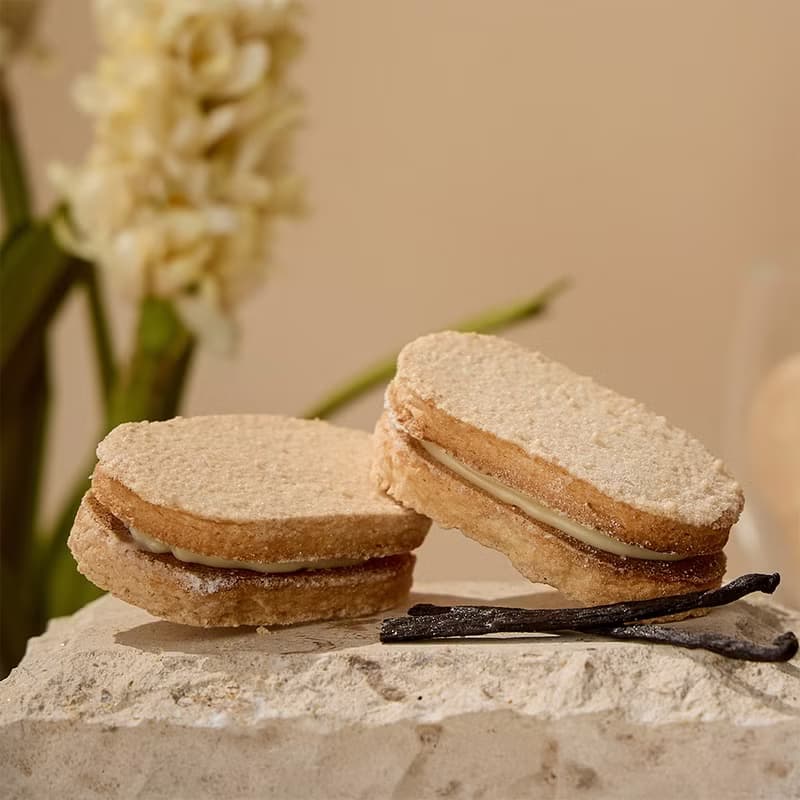 經典香草達克瓦茲(蛋奶素)