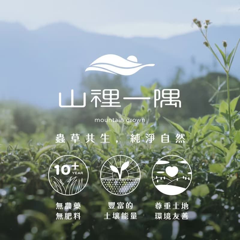 【精緻禮盒】自然農法 | 茶葉禮盒 雙茶罐、附提袋無使用農藥化肥