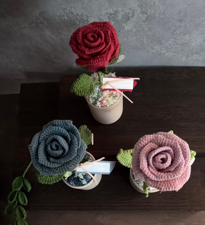 mf 經典玫瑰盆花-情人節精選 Valentine's Potted Collection