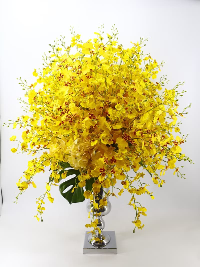 特級文心蘭冠軍杯花禮 免運專人配送限雙北市 其餘地區需補運費