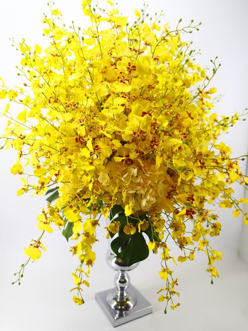 特級文心蘭冠軍杯花禮 免運專人配送限雙北市 其餘地區需補運費