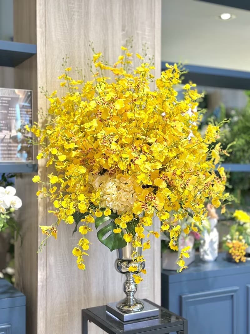 特級文心蘭冠軍杯花禮 免運專人配送限雙北市 其餘地區需補運費