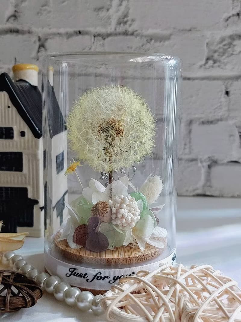 永生蒲公英玻璃罩.花盅 祝賀花禮 生日.情人節.母親節.畢業