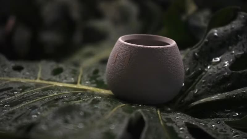 Tiny_EMOO/盆栽/室內植物/多肉植物/盆器/交換禮物/聖誕禮物