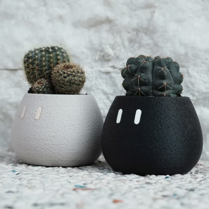 Tiny_EMOO/盆栽/室內植物/多肉植物/盆器/交換禮物/聖誕禮物