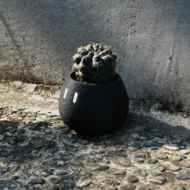 Tiny_EMOO/盆栽/室內植物/多肉植物/盆器/交換禮物/聖誕禮物