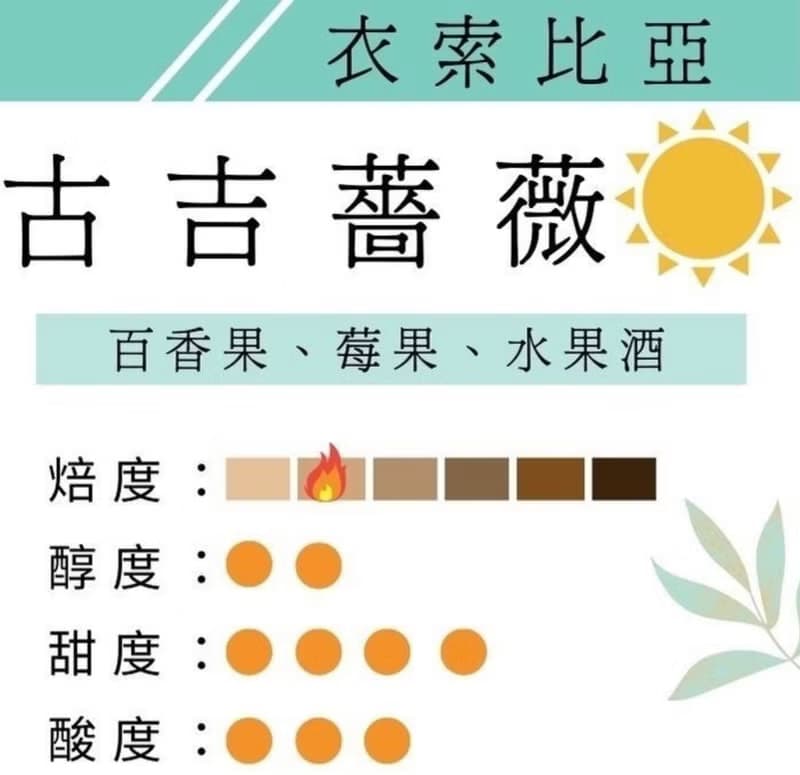 衣索比亞 古吉 薔薇 日曬 G1 自家烘焙 鑠咖啡 精品咖啡 濾掛咖啡