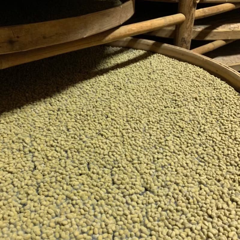 手作純釀醬油拌麵禮盒 20 盒 | 企業採購 長輩禮物