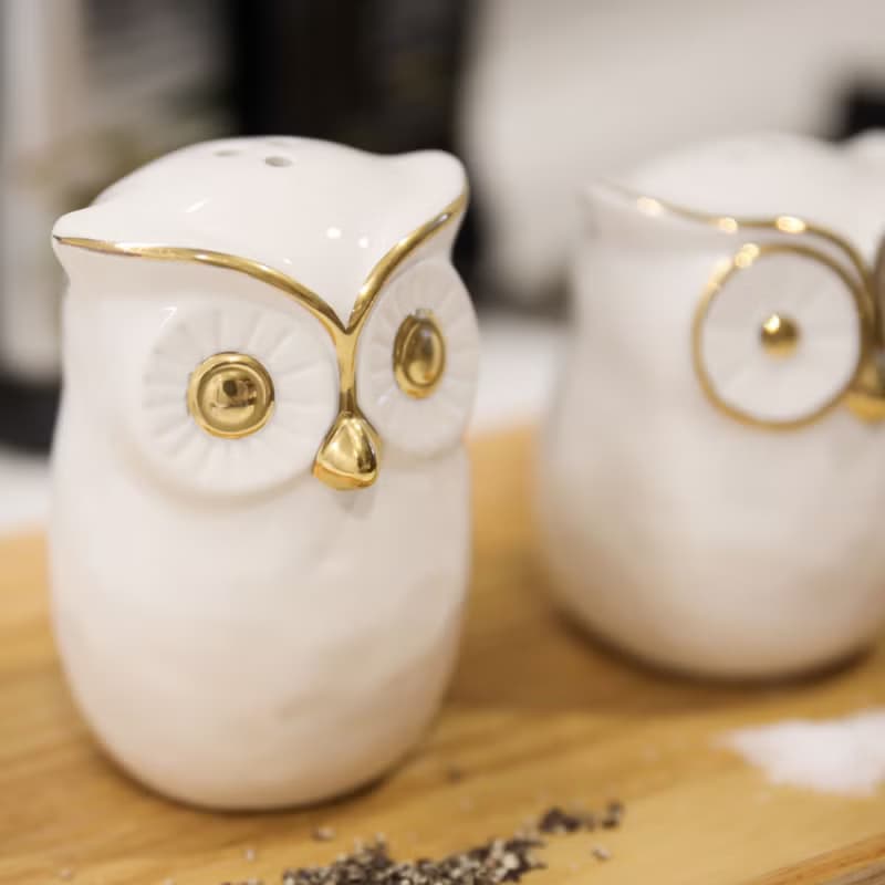 【貓頭鷹】動物椒鹽罐組 | 廚房 | 餐具 | 陶瓷 |