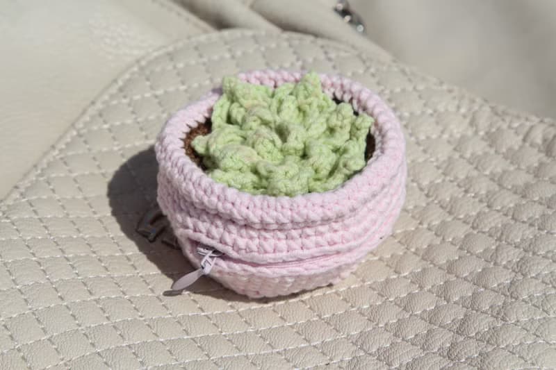Succulents pot luggage bag organizer. Jewelry storage. Zip pouch.