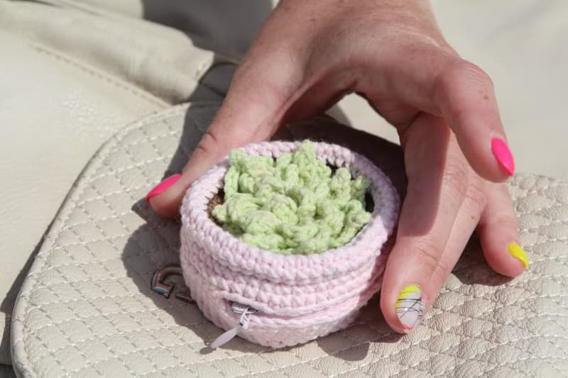 Succulents pot luggage bag organizer. Jewelry storage. Zip pouch.