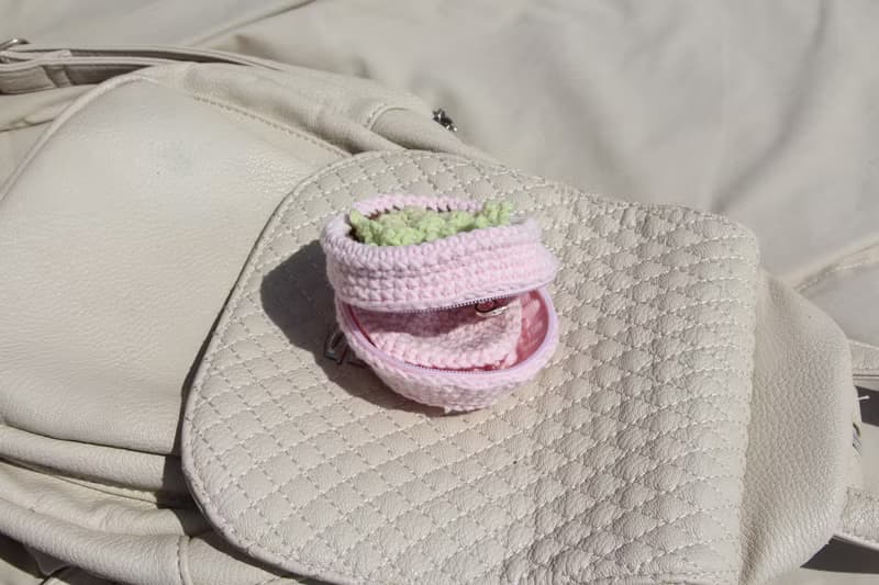 Succulents pot luggage bag organizer. Jewelry storage. Zip pouch.