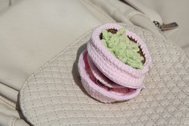 Succulents pot luggage bag organizer. Jewelry storage. Zip pouch.