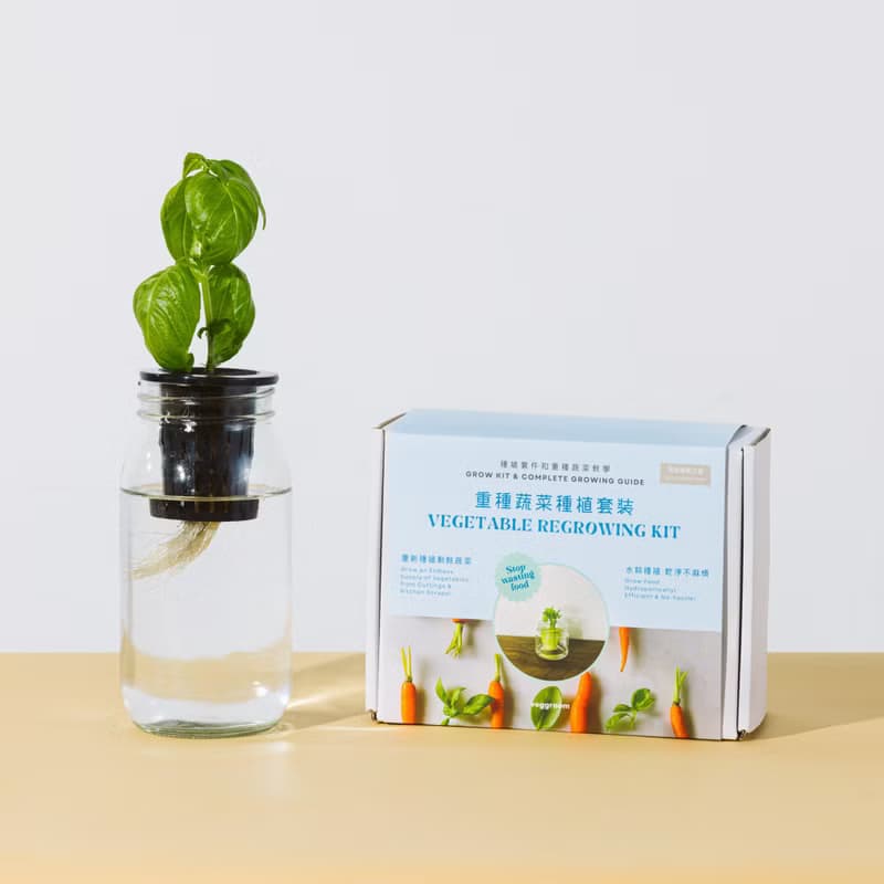 【環保禮物】種植教學系列－重種蔬菜套裝－學習水耕重種蔬菜