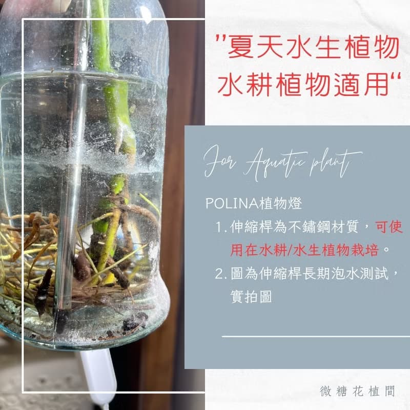 Polina植物燈/盆栽植物生長燈/植物燈推薦