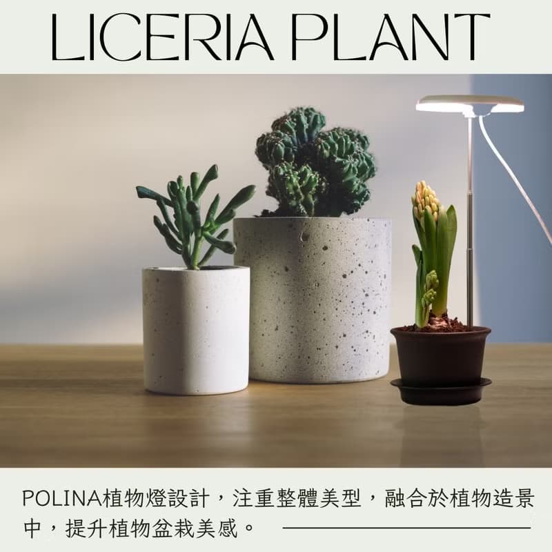 Polina植物燈/盆栽植物生長燈/植物燈推薦