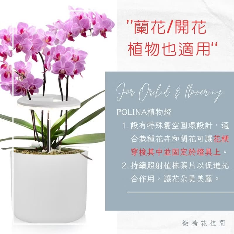 Polina植物燈/盆栽植物生長燈/植物燈推薦