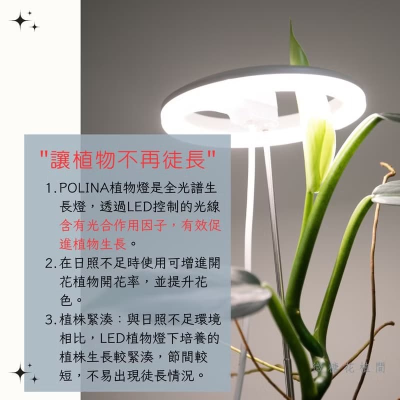 Polina植物燈/盆栽植物生長燈/植物燈推薦