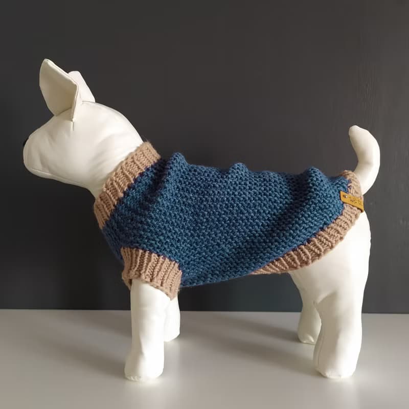 Knitted blue warm sweater for dogs