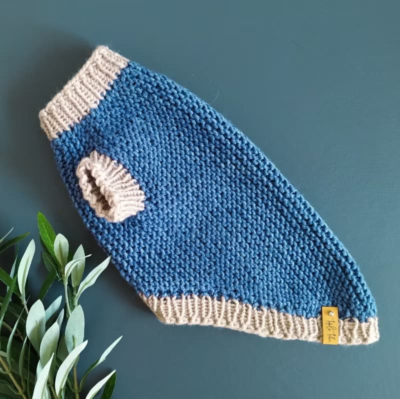 Knitted blue warm sweater for dogs