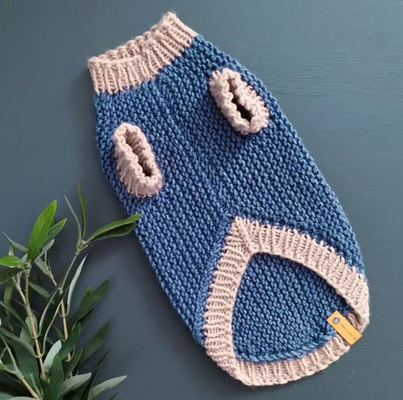 Knitted blue warm sweater for dogs