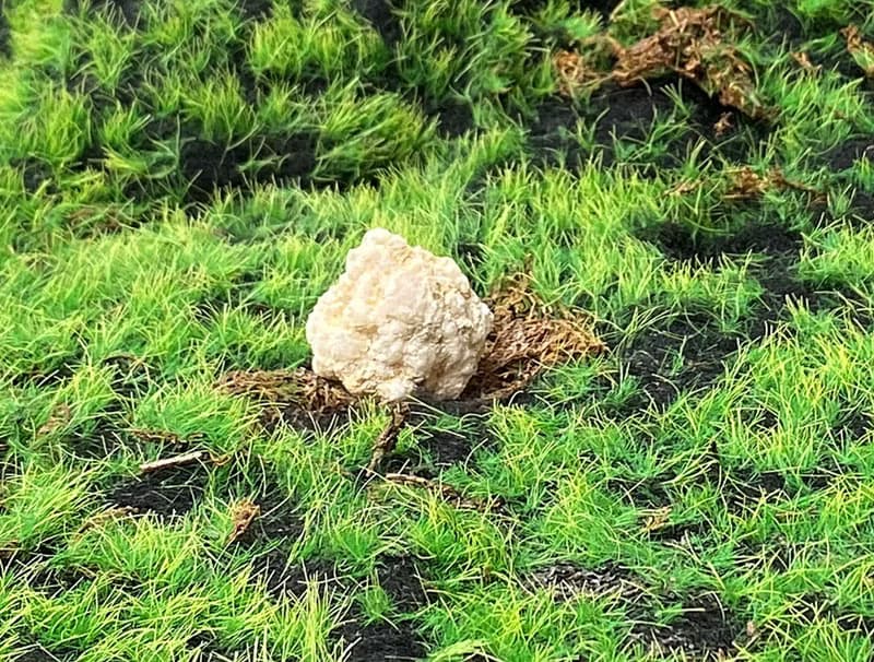 天然原礦晶瑩剔透招財瑪瑙白晶洞 招財開運 快速出貨 風水擺件