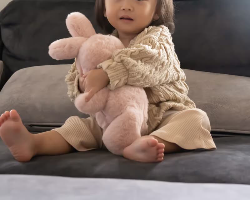Pink Bear/Rabbit