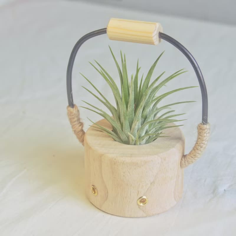 原創木作【小水桶】擴香植栽擺飾  贈一多肉植物或空氣鳳梨