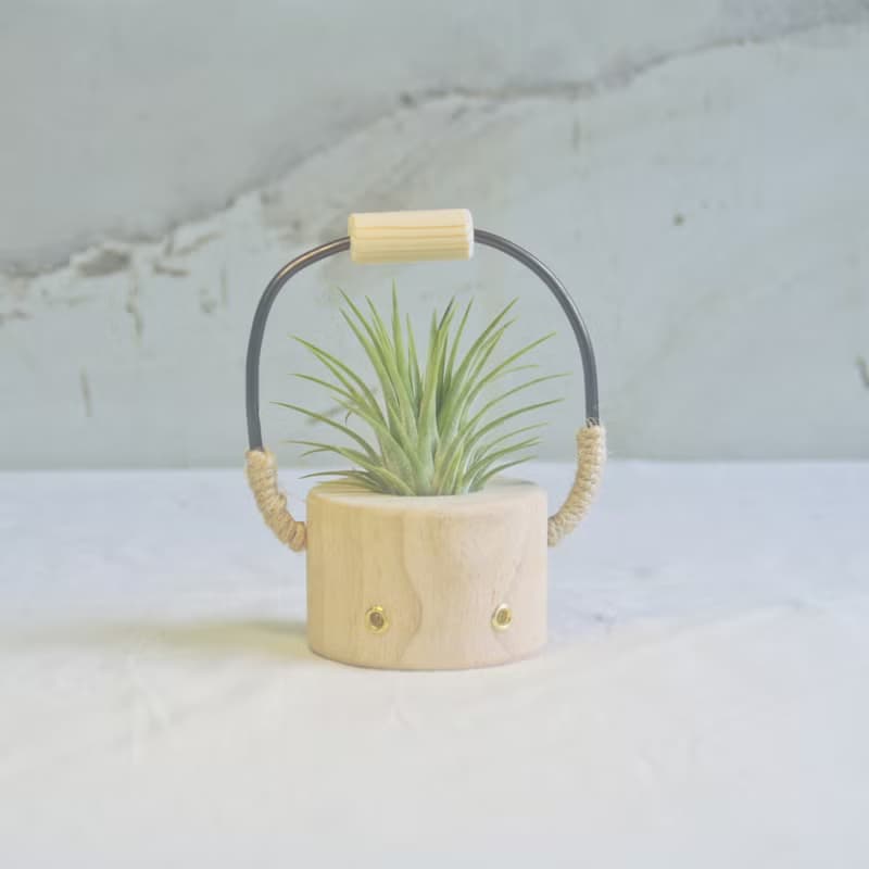 原創木作【小水桶】擴香植栽擺飾  贈一多肉植物或空氣鳳梨