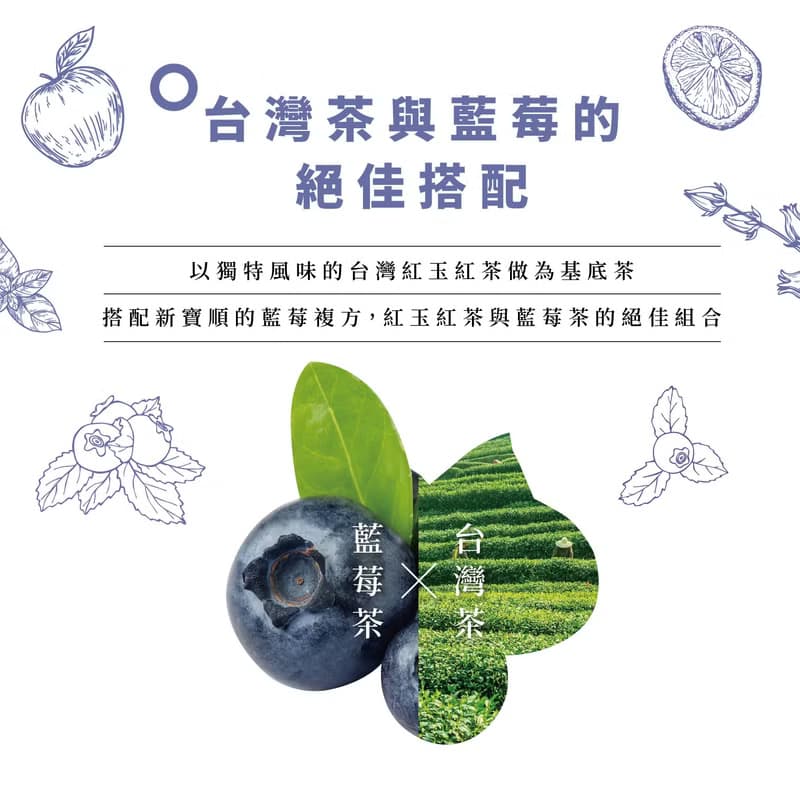 【快速冷泡】藍莓冰茶_無糖零卡卻會甜