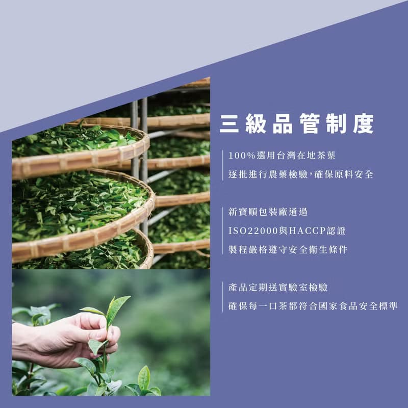 【快速冷泡】藍莓冰茶_無糖零卡卻會甜