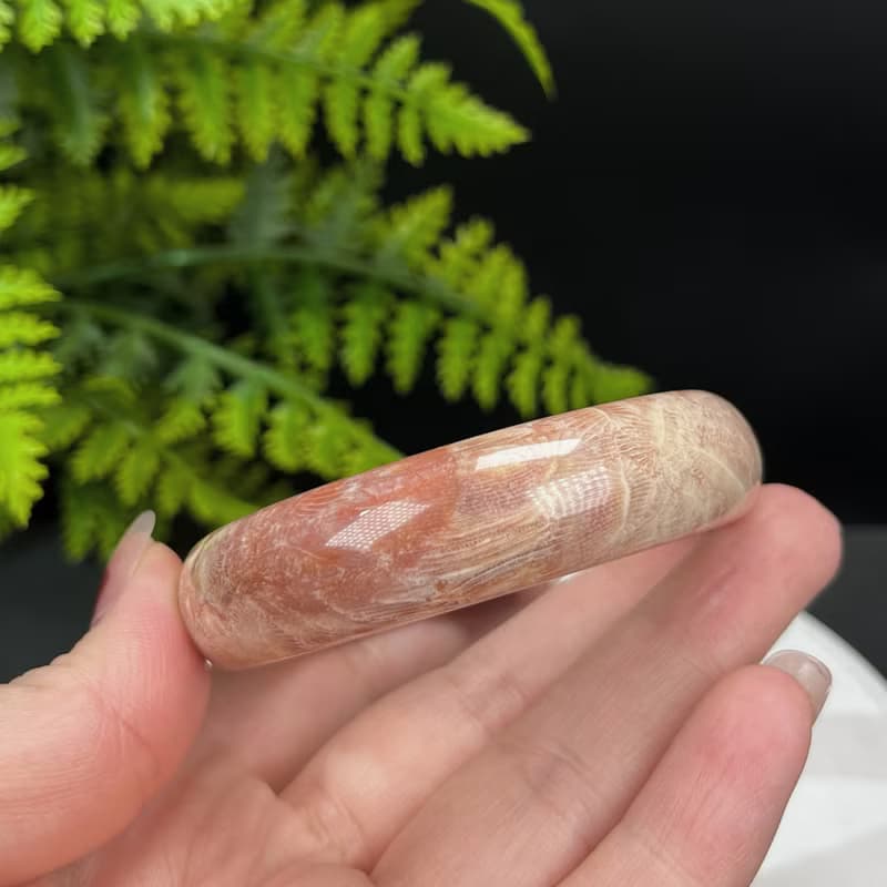 精品 珊瑚玉手鐲 54+MM 冰潤高瓷天眼鳳尾蟲紋 菊花玉手環 襯膚色
