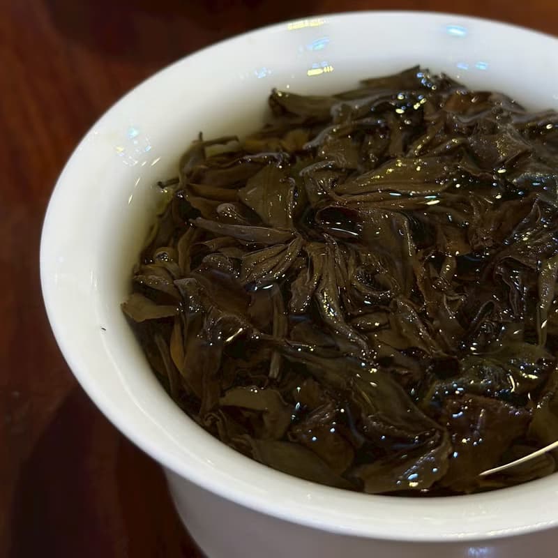 2024台灣自然農法合歡東方美人