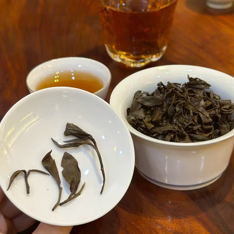 2024台灣自然農法合歡東方美人