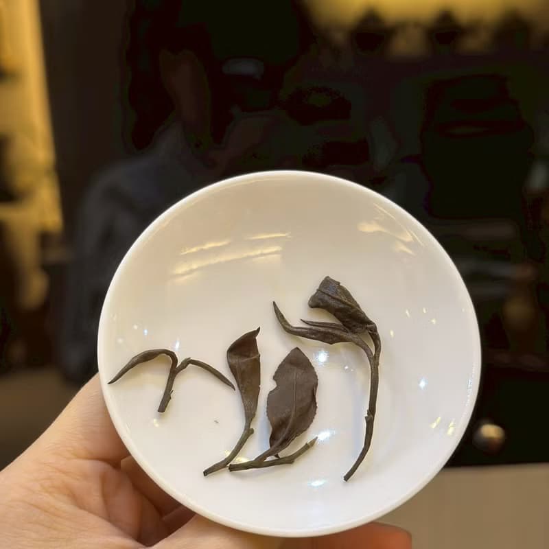 2024台灣自然農法合歡東方美人