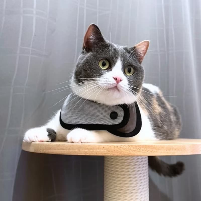 Zuuie Luna Heather 百搭寵物圍巾/頸圈 - 灰色