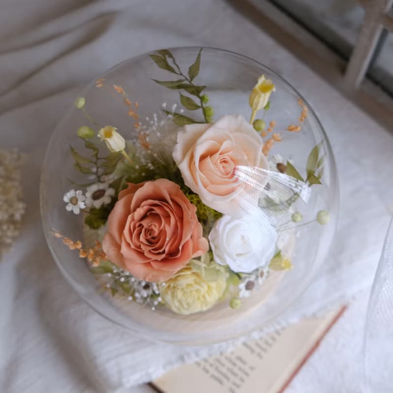 永生玫瑰/玻璃鐘罩/永生花/乾燥花/不凋花/橘黃色/情人節/結婚