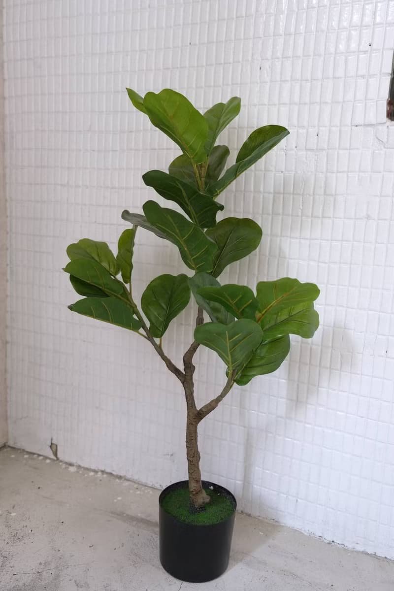 人造植栽/仿真琴葉榕/仿真植物/綠化/永不凋零