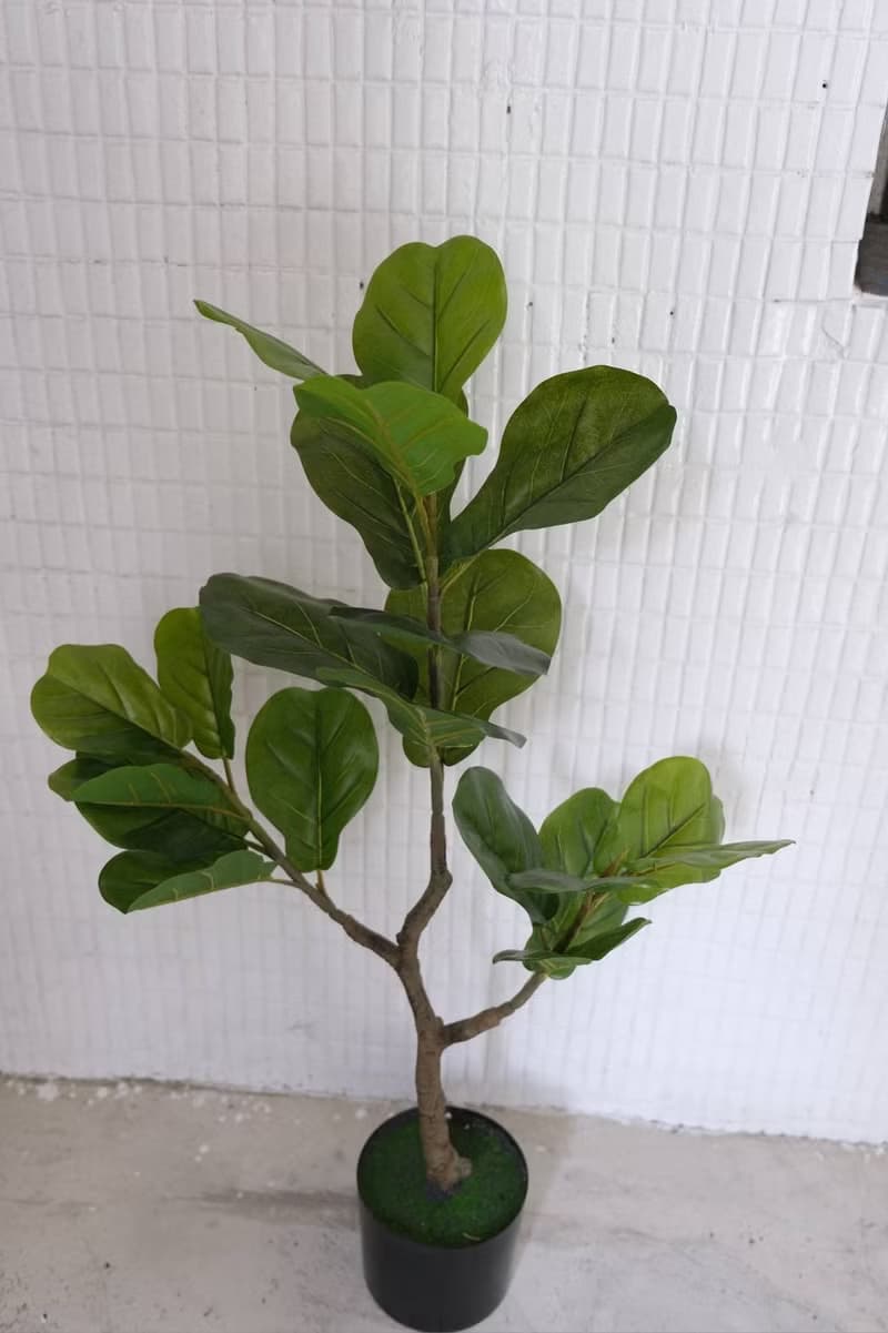 人造植栽/仿真琴葉榕/仿真植物/綠化/永不凋零