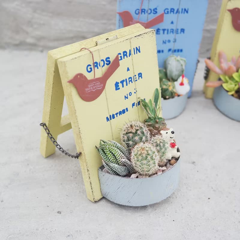 【荳荳多肉】【日式立式花牌組合】喬遷│送禮│升遷│多肉植物