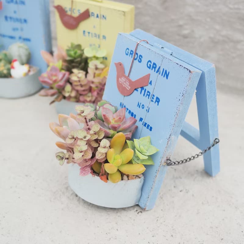 【荳荳多肉】【日式立式花牌組合】喬遷│送禮│升遷│多肉植物