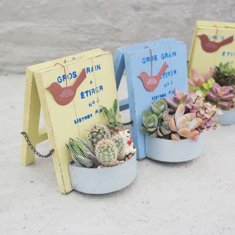 【荳荳多肉】【日式立式花牌組合】喬遷│送禮│升遷│多肉植物