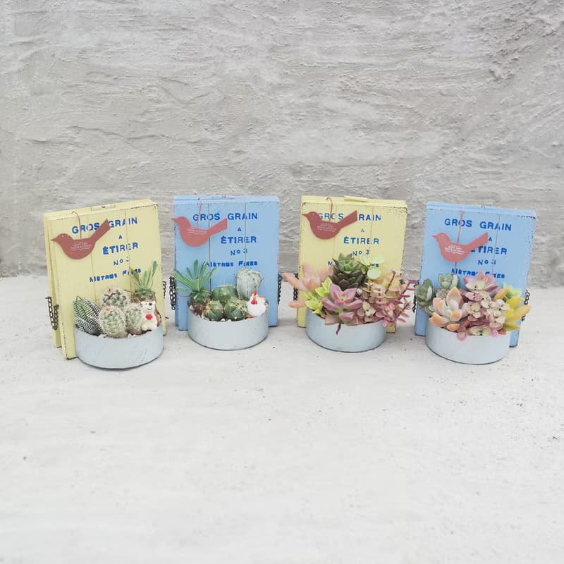 【荳荳多肉】【日式立式花牌組合】喬遷│送禮│升遷│多肉植物